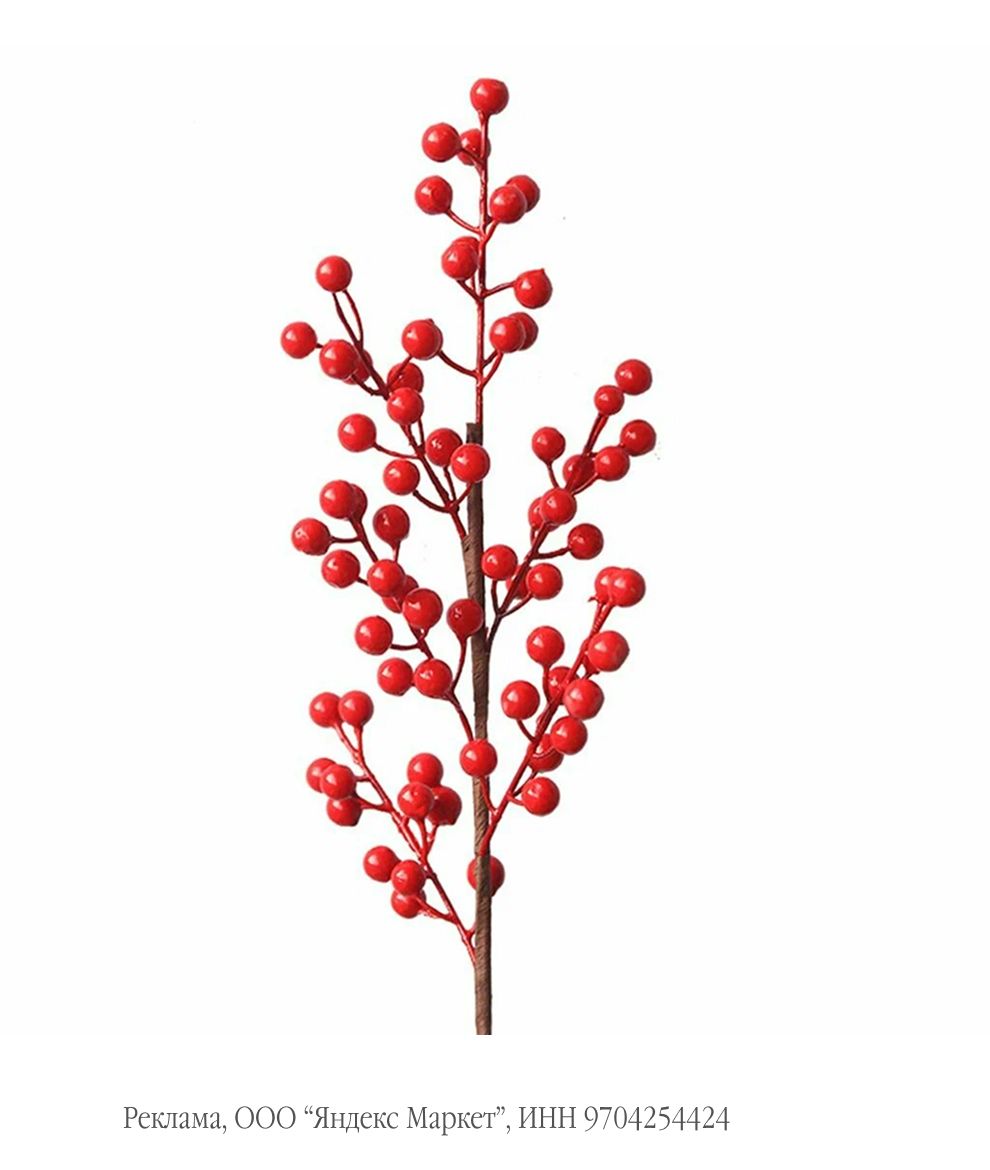 Ягоды остролиста